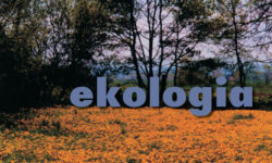 5/2002 – Ekologia