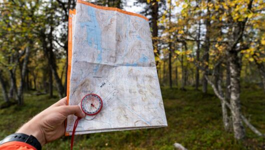 Nauczyciel jako przewodnik ku dobru. Wartości chrześcijańskie w koncepcji edukacji ks. Grzegorza Piramowicza